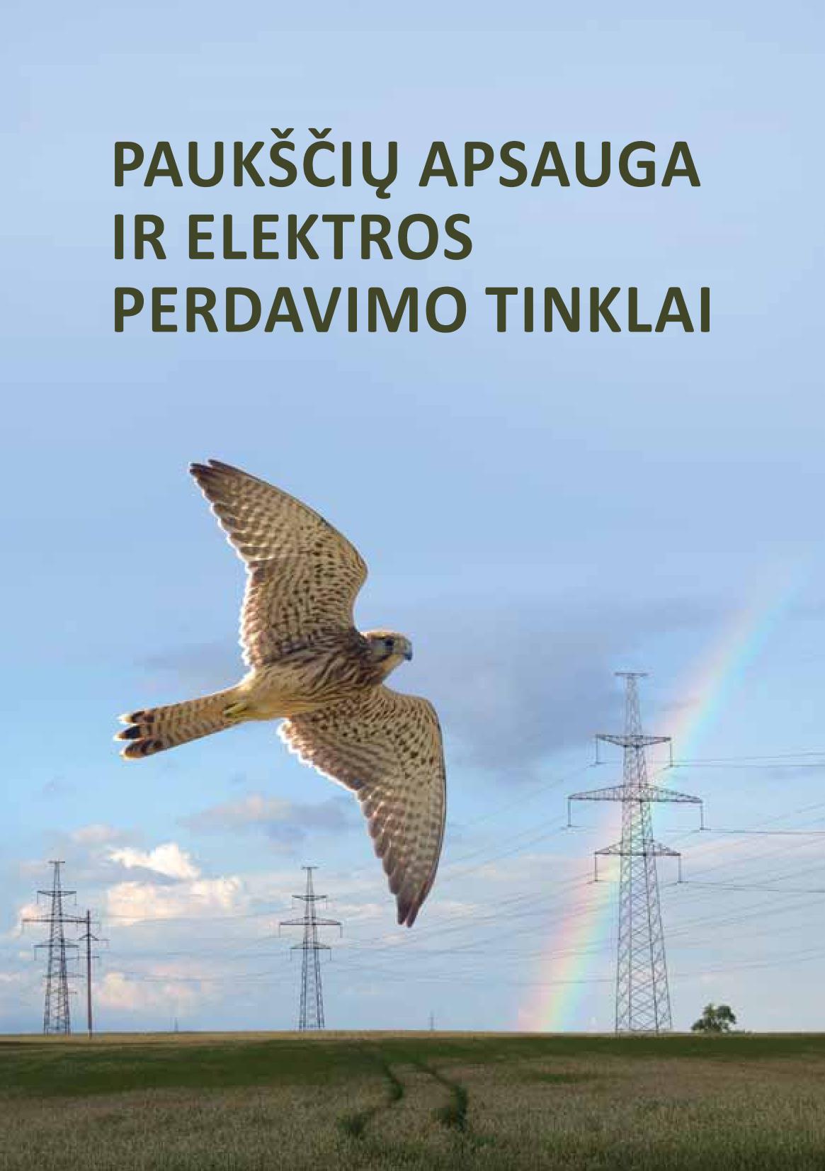 „Paukščių apsauga ir elektros perdavimo tinklai“